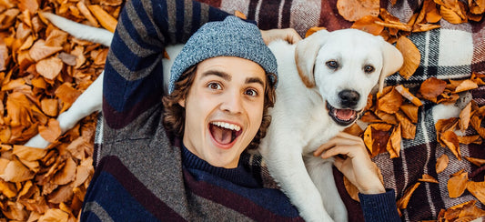 How to Choose the Best Pet Products for Your Furry Friend