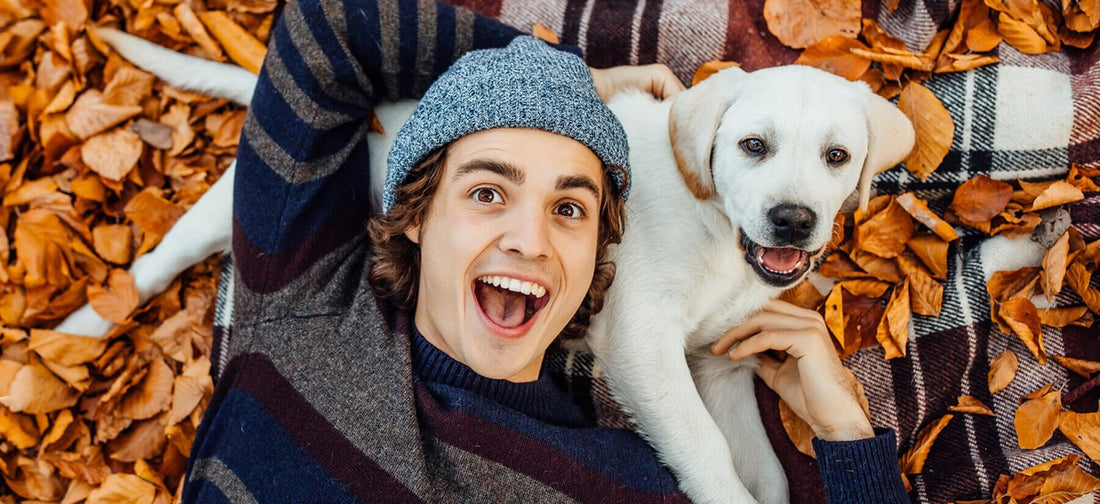 How to Choose the Best Pet Products for Your Furry Friend