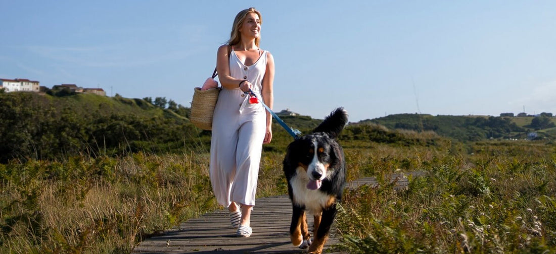 Top 10 Essential Pet Products Every Pet Owner Should Have