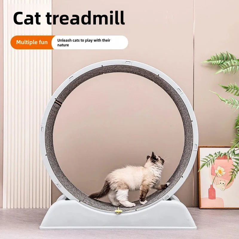WhiskerFit Luxury Treadmill™ – The Purr-fect Fitness Must-Have for Your Cat!