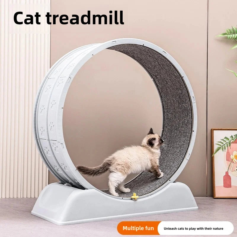 WhiskerFit Luxury Treadmill™ – The Purr-fect Fitness Must-Have for Your Cat!